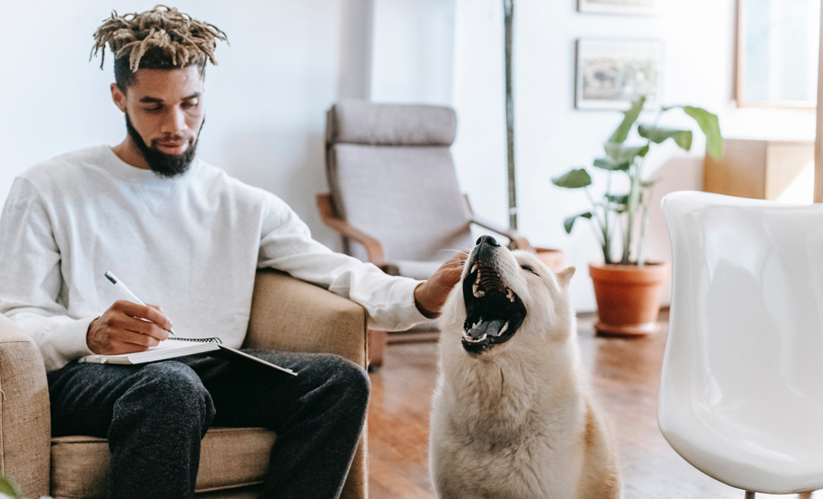 man petting dog with mouth open