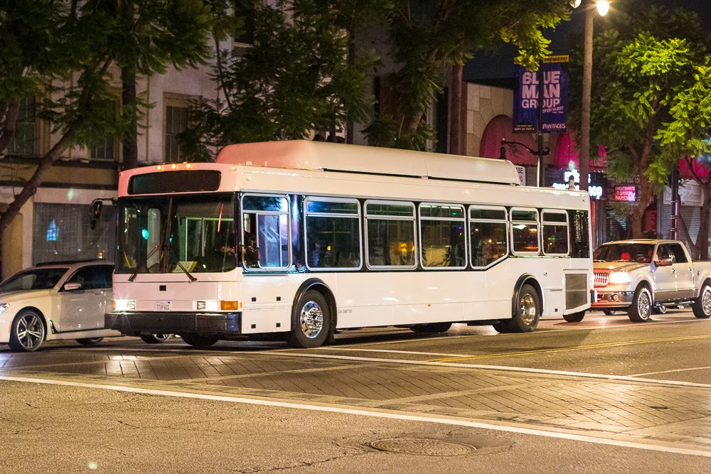 city bus driving downtown stopped at red light and crosswalk