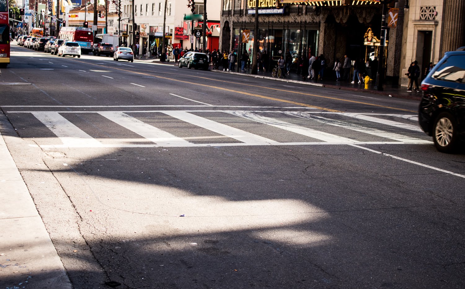 2/9 Toms River, NJ – Man Killed in Fatal Pedestrian Crash at Bay Ave & Twin Oaks Dr