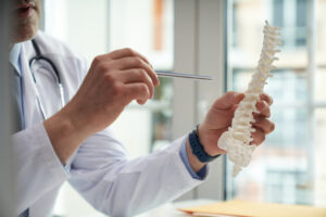 healthcare worker holding model of human spine