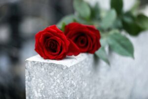 Woman Killed by Hit-and-Run Driver on Elmwood Ave