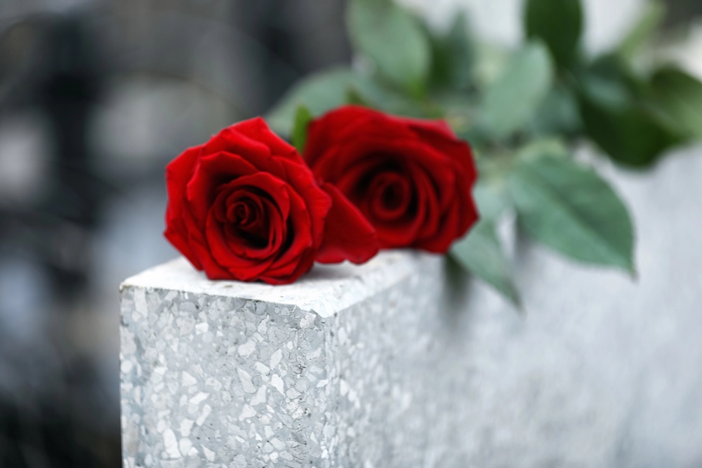 Woman Killed by Hit-and-Run Driver on Elmwood Ave