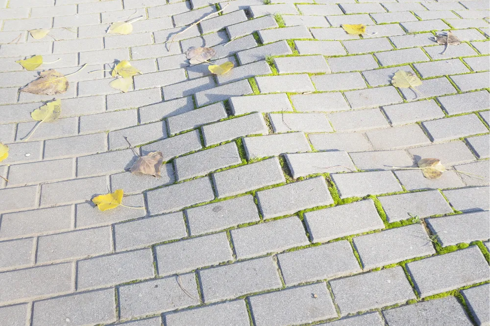 Trusted slip and fall law firm serving clients in Haddon Township.