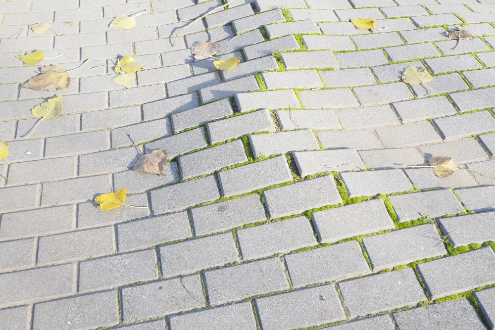 Slip and fall accident lawyers fighting for client compensation in Bala Cynwyd.
